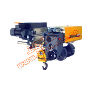 Electric hoist---Lifting accessories